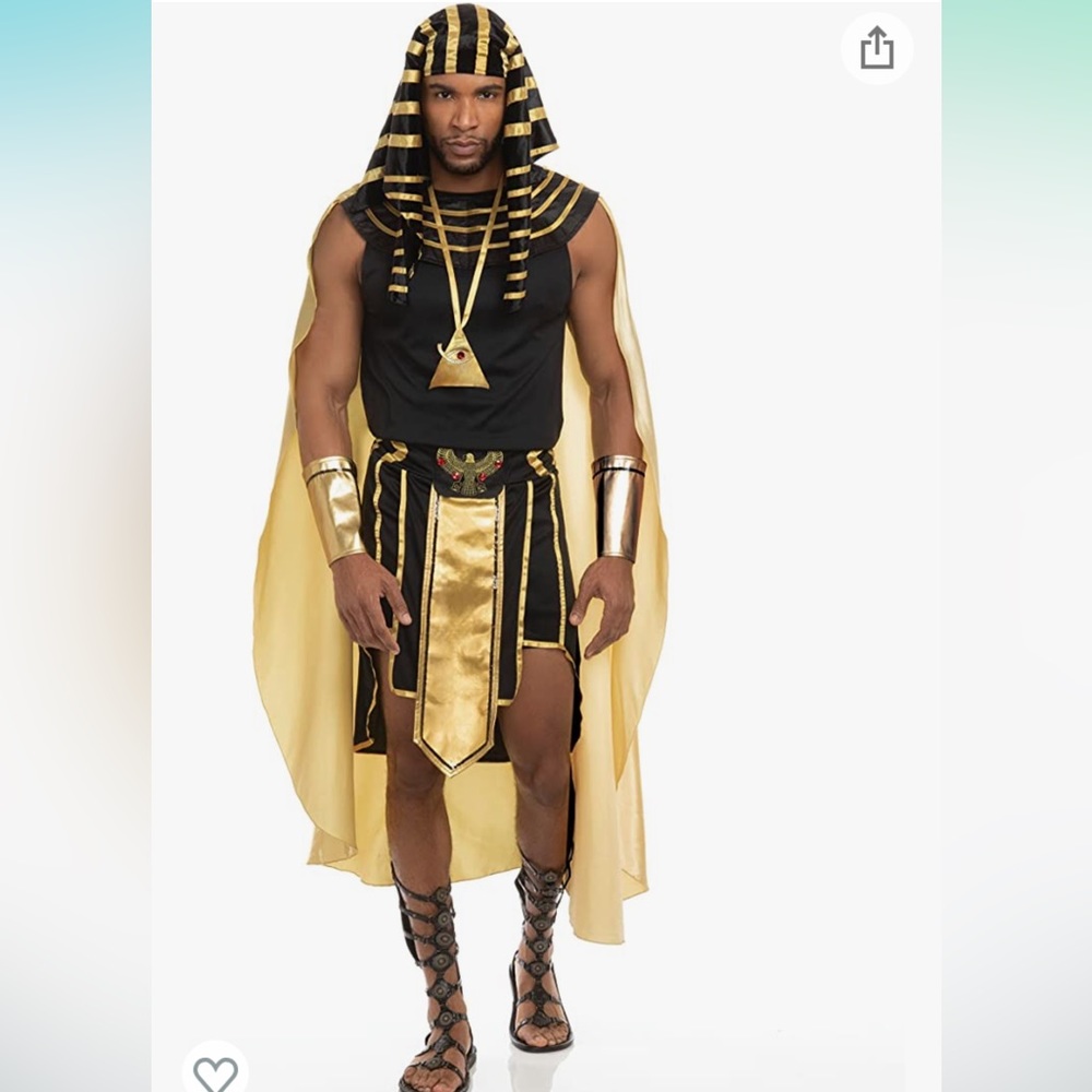 Dreamgirl Men's King of Egypt Adult Fashion Costume Large
